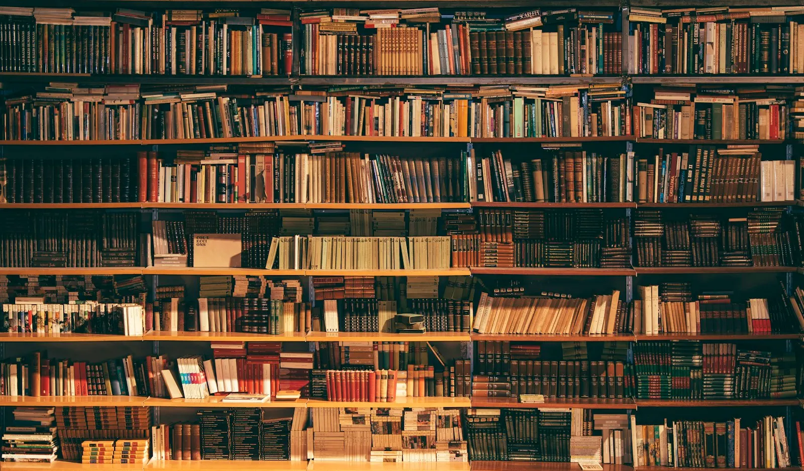 Hauts rayonnages remplis de livres