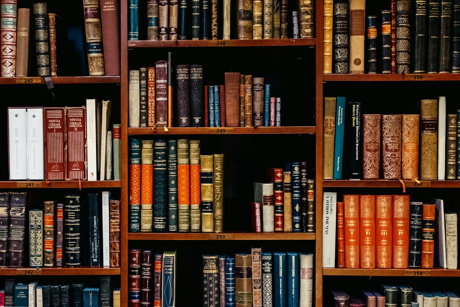 Books on wooden library shelves